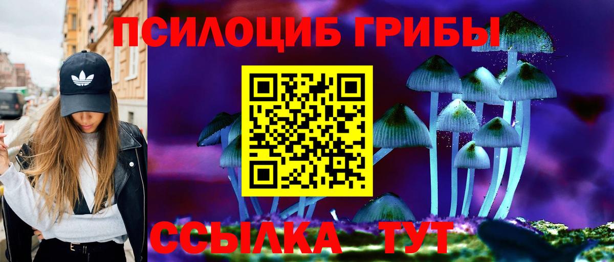 Донской  Галлюциногенные грибы ЛСД  Вход с VPN 